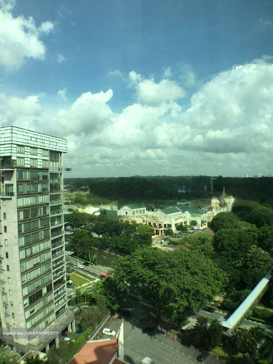 The Legend (D10), Condominium #462520631